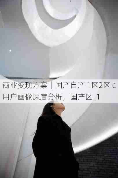 商业变现方案｜国产自产 1区2区 c用户画像深度分析，国产区_1