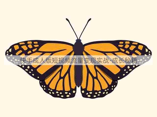 快手成人版短视频流量变现实战-成长秘籍