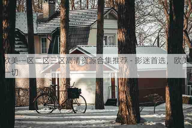 欧美一区二区三区高清资源合集推荐 - 影迷首选，欧美一切