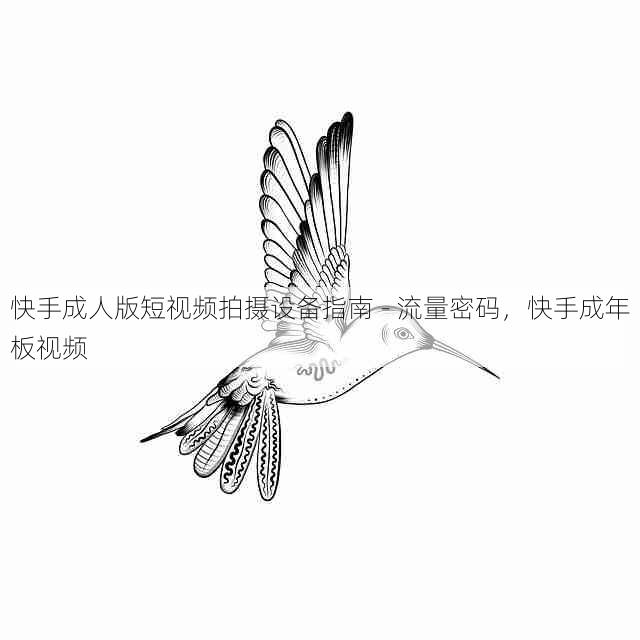 快手成人版短视频拍摄设备指南 - 流量密码，快手成年板视频