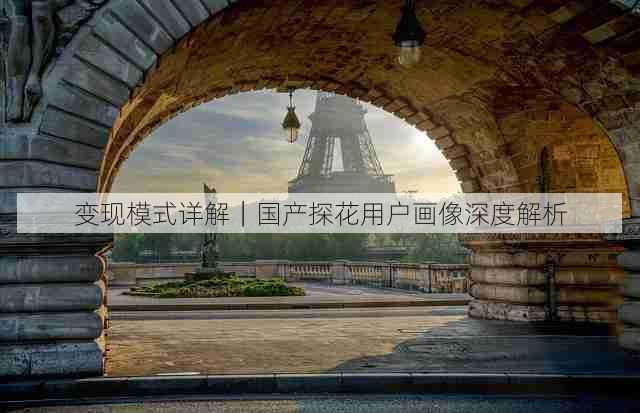 变现模式详解｜国产探花用户画像深度解析