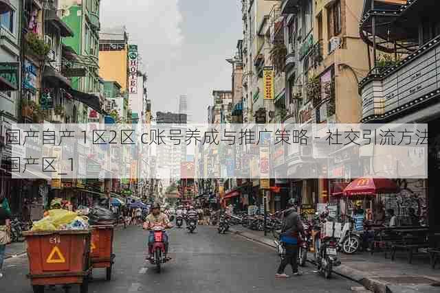 国产自产 1区2区 c账号养成与推广策略 - 社交引流方法，国产区_1