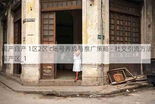 国产自产 1区2区 c账号养成与推广策略 - 社交引流方法，国产区_1