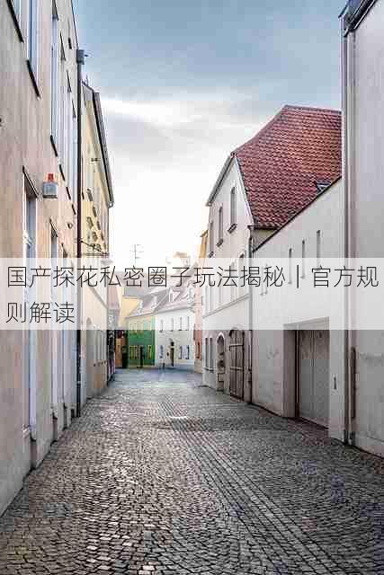 国产探花私密圈子玩法揭秘｜官方规则解读