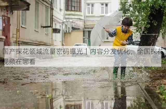 国产探花领域流量密码曝光｜内容分发优化，全国探花视频在哪看
