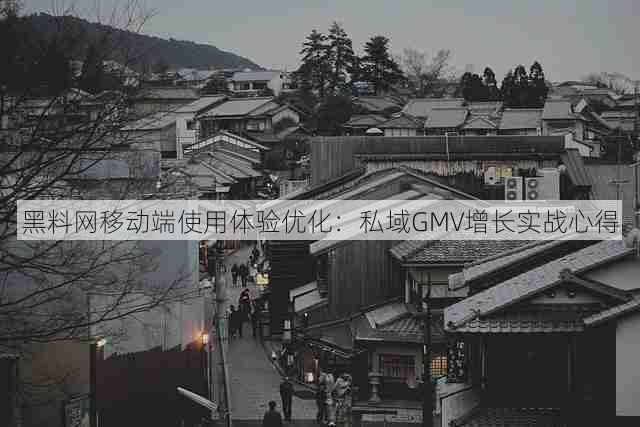 黑料网移动端使用体验优化：私域GMV增长实战心得