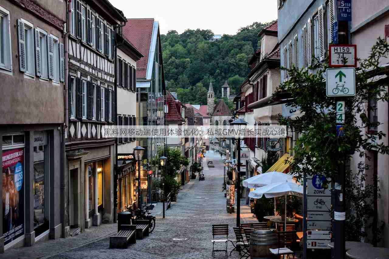 黑料网移动端使用体验优化：私域GMV增长实战心得