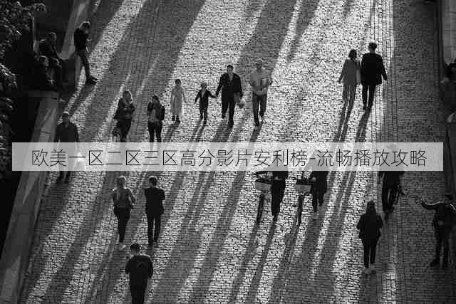 欧美一区二区三区高分影片安利榜-流畅播放攻略