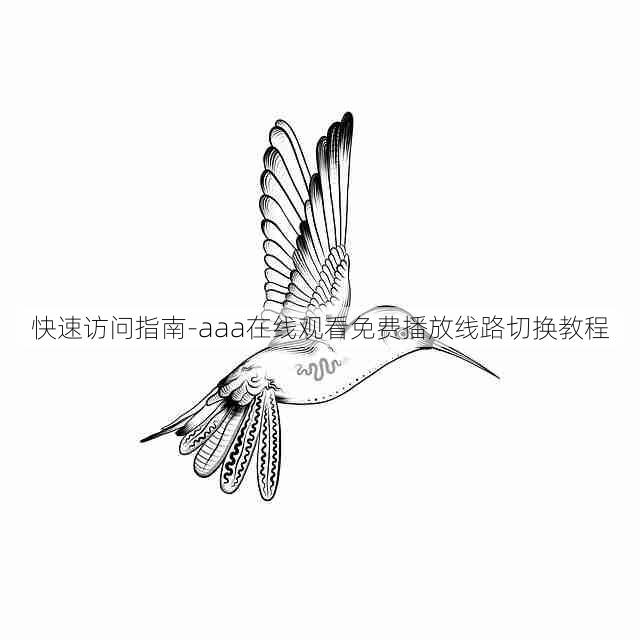 快速访问指南-aaa在线观看免费播放线路切换教程