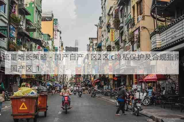 流量增长策略 - 国产自产 1区2区 c隐私保护及合规指南，国产区_1
