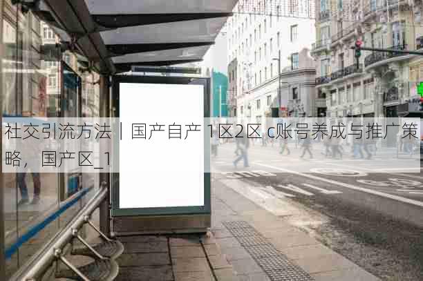 社交引流方法｜国产自产 1区2区 c账号养成与推广策略，国产区_1