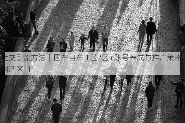 社交引流方法｜国产自产 1区2区 c账号养成与推广策略，国产区_1
