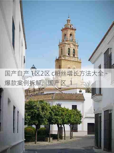 国产自产 1区2区 c粉丝增长方法大全 - 爆款案例拆解，国产区_1