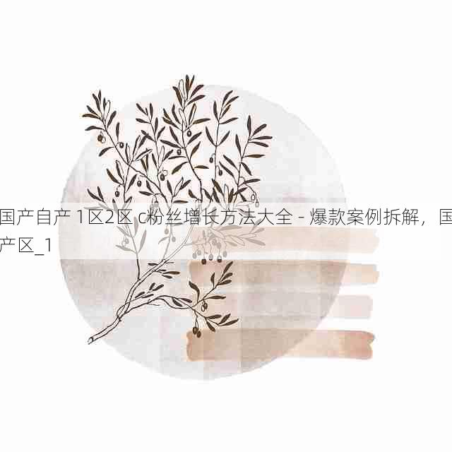 国产自产 1区2区 c粉丝增长方法大全 - 爆款案例拆解，国产区_1