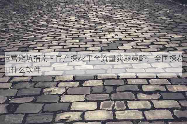 运营避坑指南 - 国产探花平台流量获取策略，全国探花用什么软件