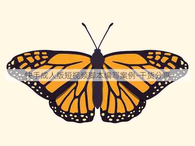 快手成人版短视频脚本编写案例-干货分享