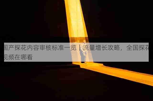 国产探花内容审核标准一览｜流量增长攻略，全国探花视频在哪看