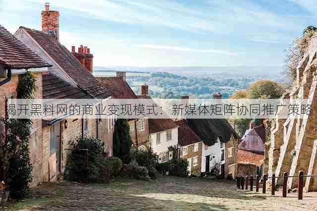 揭开黑料网的商业变现模式：新媒体矩阵协同推广策略