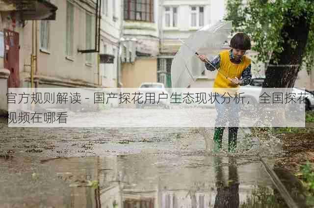 官方规则解读 - 国产探花用户生态现状分析，全国探花视频在哪看