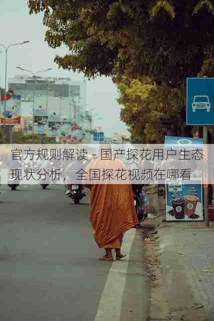 官方规则解读 - 国产探花用户生态现状分析，全国探花视频在哪看