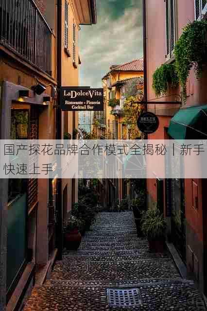 国产探花品牌合作模式全揭秘｜新手快速上手