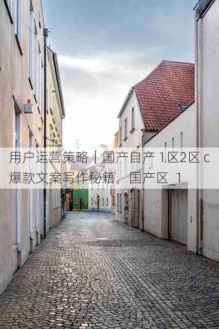 用户运营策略｜国产自产 1区2区 c爆款文案写作秘籍，国产区_1