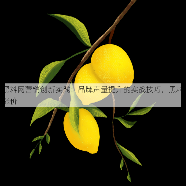 黑料网营销创新实践：品牌声量提升的实战技巧，黑料涨价