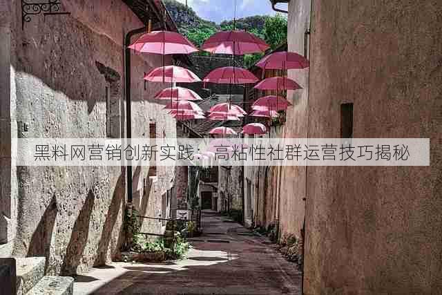 黑料网营销创新实践：高粘性社群运营技巧揭秘