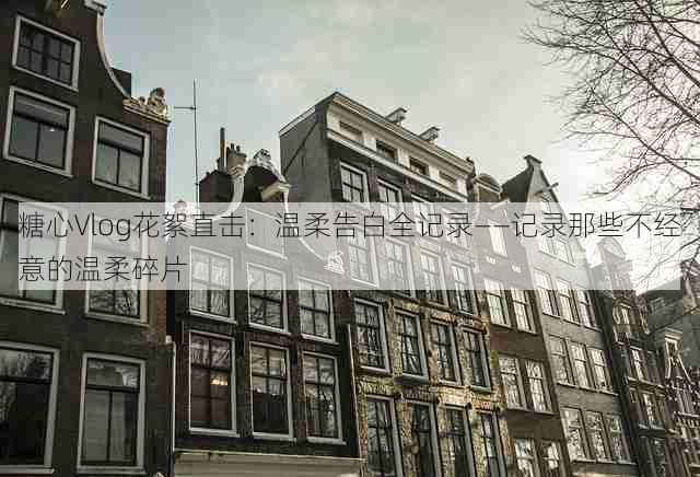 糖心Vlog花絮直击：温柔告白全记录——记录那些不经意的温柔碎片