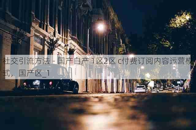 社交引流方法 - 国产自产 1区2区 c付费订阅内容运营模式，国产区_1