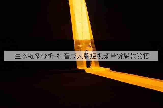 生态链条分析-抖音成人版短视频带货爆款秘籍
