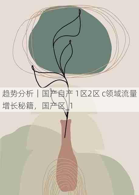 趋势分析｜国产自产 1区2区 c领域流量增长秘籍，国产区_1