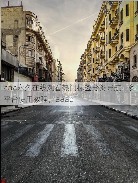 aaa永久在线观看热门标签分类导航 - 多平台使用教程,aaaq