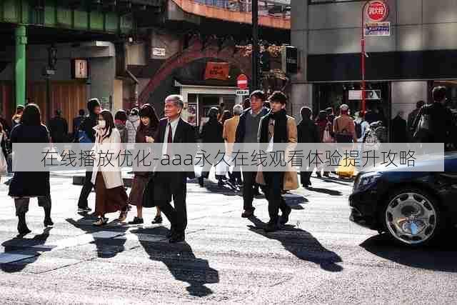 在线播放优化-aaa永久在线观看体验提升攻略