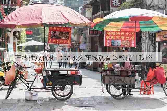 在线播放优化-aaa永久在线观看体验提升攻略