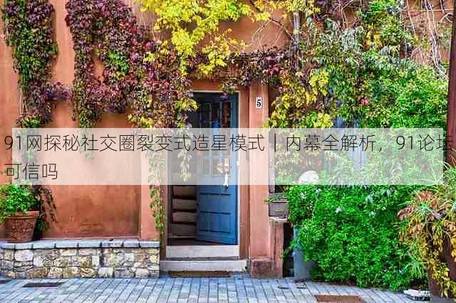 91网探秘社交圈裂变式造星模式｜内幕全解析，91论坛可信吗