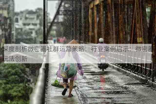 深度剖析微密圈社群运营策略：行业案例启示：微密圈玩法创新