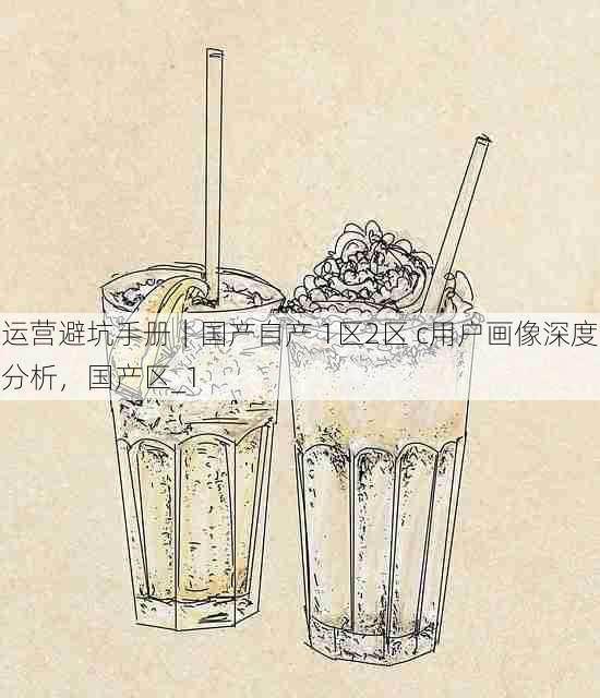 运营避坑手册｜国产自产 1区2区 c用户画像深度分析，国产区_1