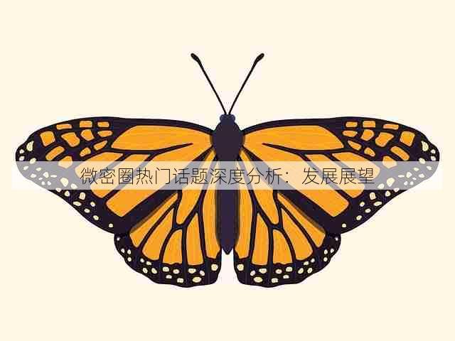 微密圈热门话题深度分析：发展展望