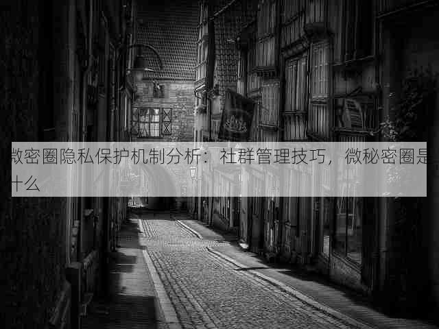 微密圈隐私保护机制分析：社群管理技巧，微秘密圈是什么