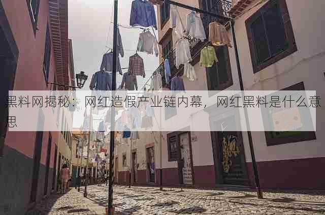 黑料网揭秘：网红造假产业链内幕，网红黑料是什么意思