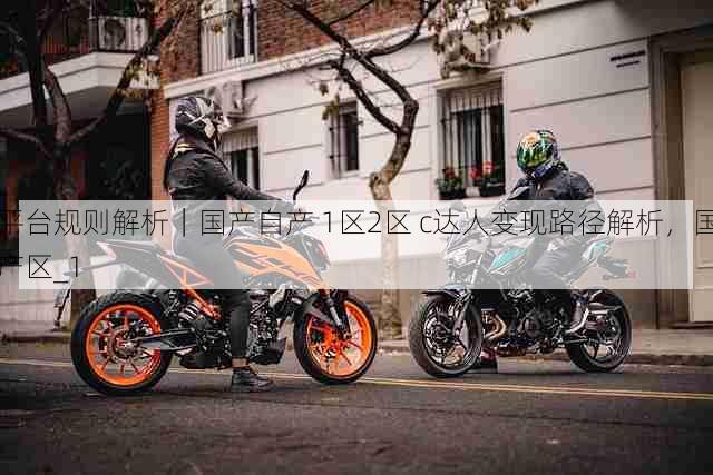 平台规则解析｜国产自产 1区2区 c达人变现路径解析，国产区_1