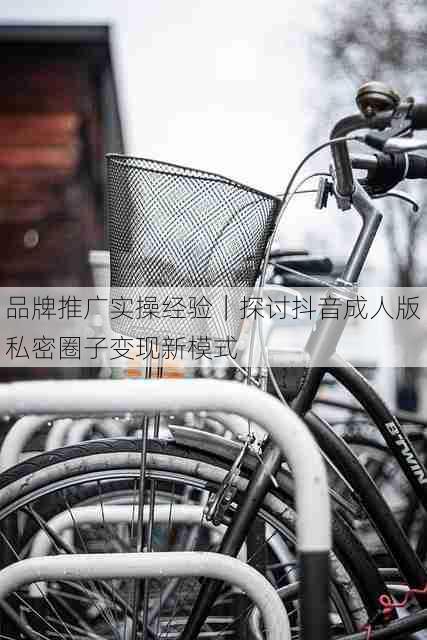 品牌推广实操经验｜探讨抖音成人版私密圈子变现新模式