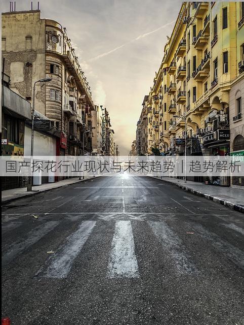 国产探花行业现状与未来趋势｜趋势解析