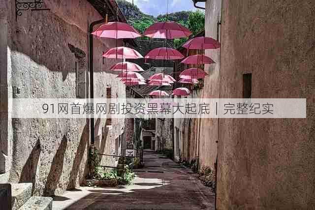 91网首爆网剧投资黑幕大起底｜完整纪实